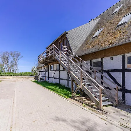 Pferdehof Koenigsstuhl - 5 Friese Lohme