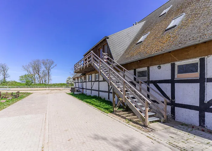 Pferdehof Koenigsstuhl - 5 Friese Lohme
